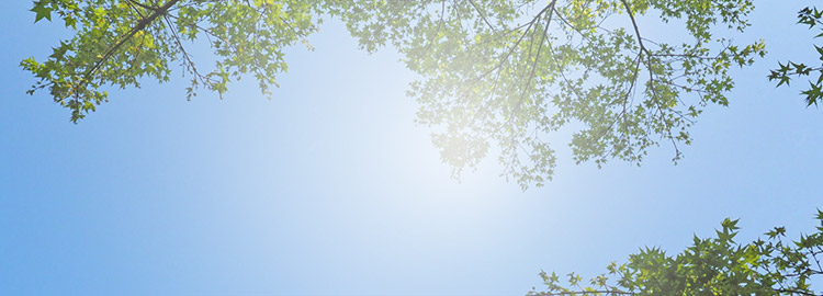 金寶山生命紀念館